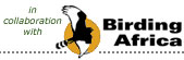 birding-africa-logo.png
