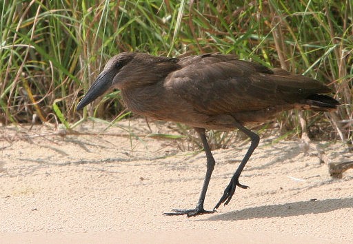 Iso 400, 1/1125sek, 280 mm,