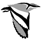 African Bird Club logo
